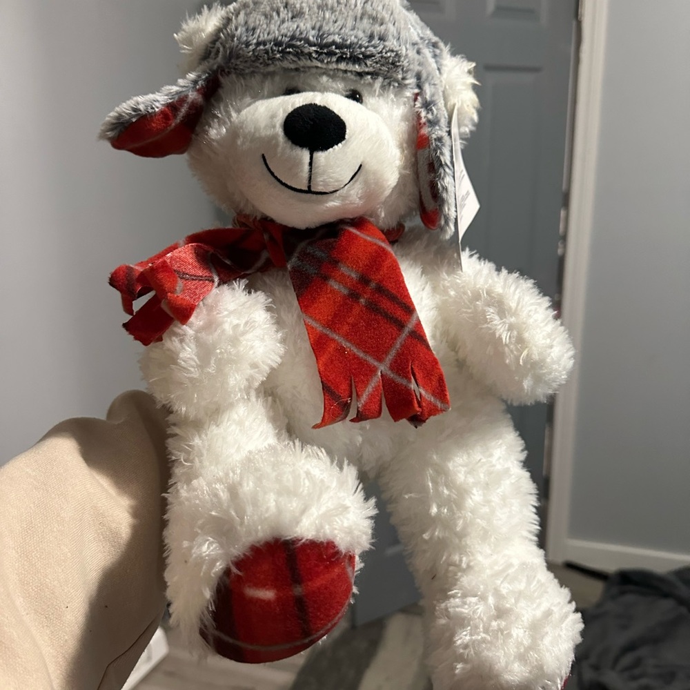 Cozy red Teddy Bear with Hat and Scarf